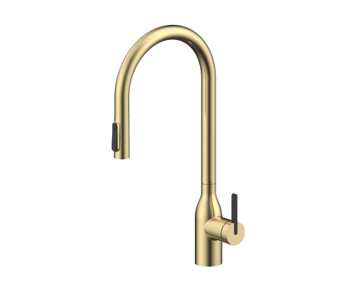 Paulmark Un213880-LG