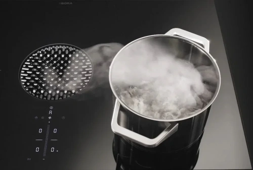 Варочная панель с вытяжкой BORA X Pure PUXU2 фото 4