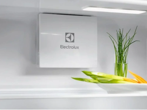 Встраиваемый холодильник Electrolux ERD6DE18S4 фото 2