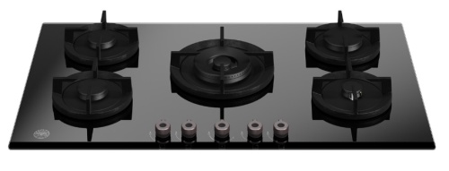 Bertazzoni P905CPROGNE