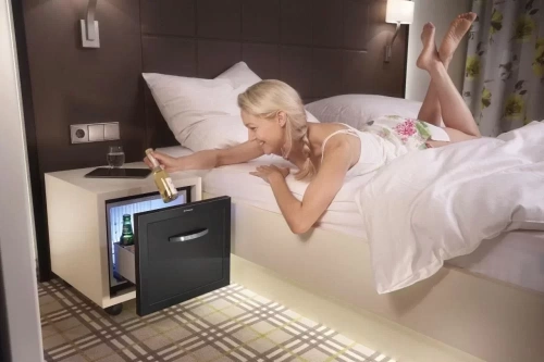 Минибар Dometic DM 20 D фото 10