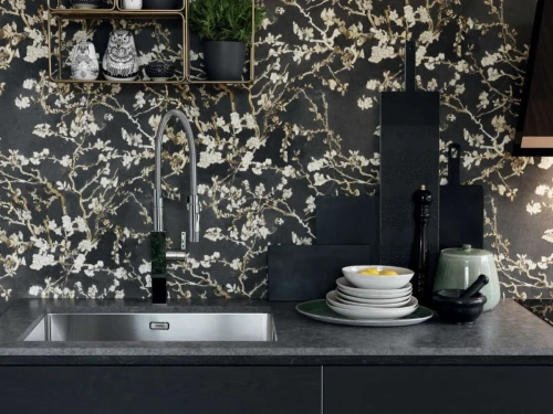 Мойка Franke BXX 210-68 сталь фото 2