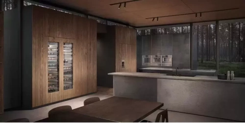 Вакуумный упаковщик Gaggenau DV461110 фото 10